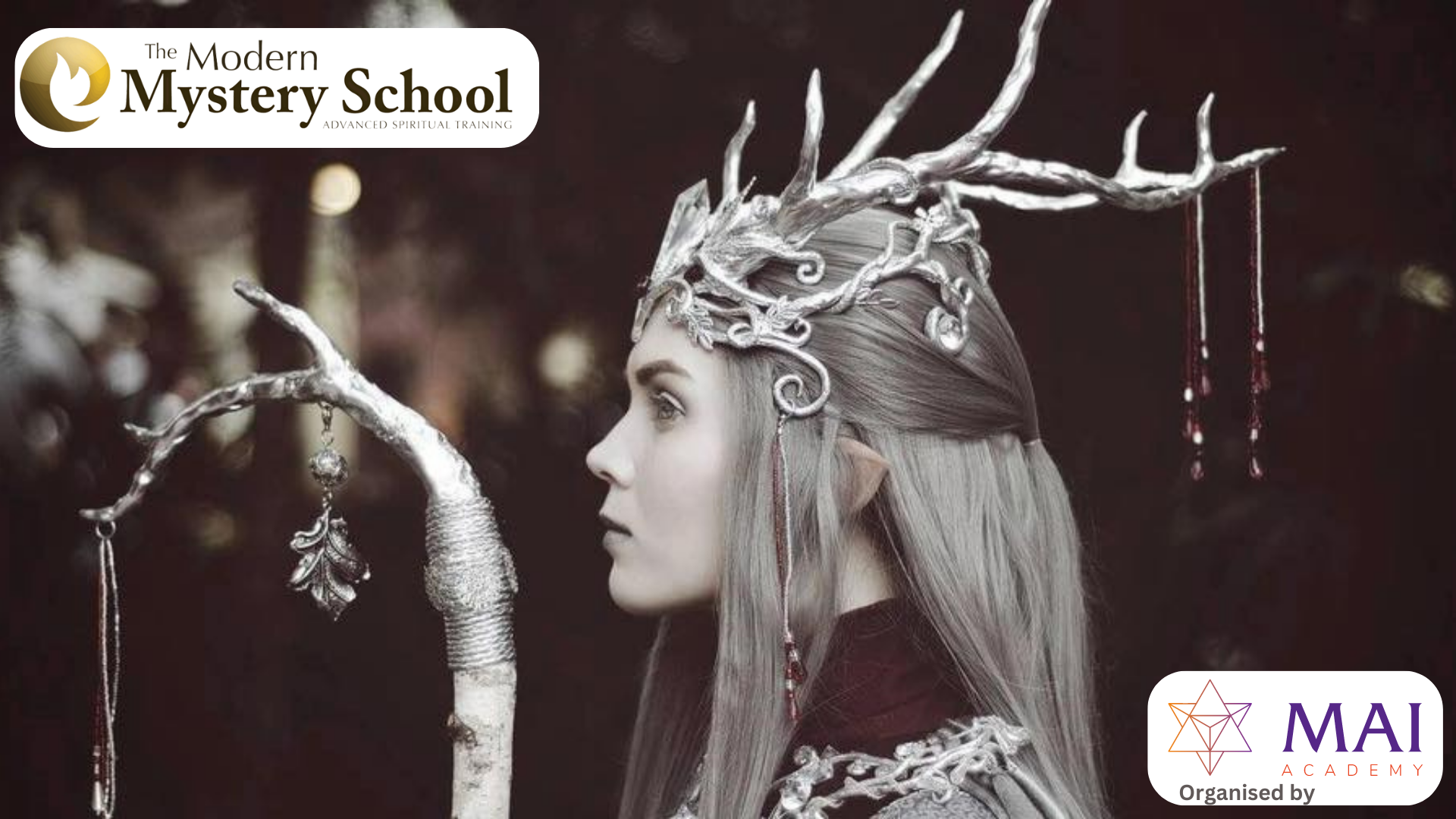 Cele 12 Rase de pe Pământ – 12 Races on Earth – curs – București, 21 ianuarie 2024